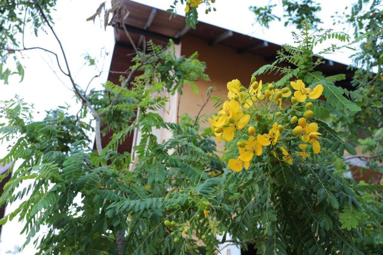 Lolu Village Resort Anuradhapura Esterno foto